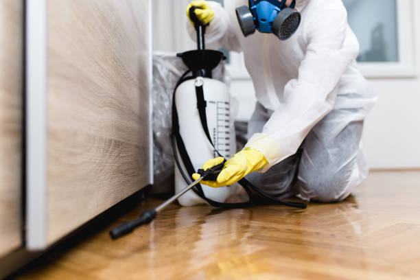 Professional Pest Control in Edgewood, IN