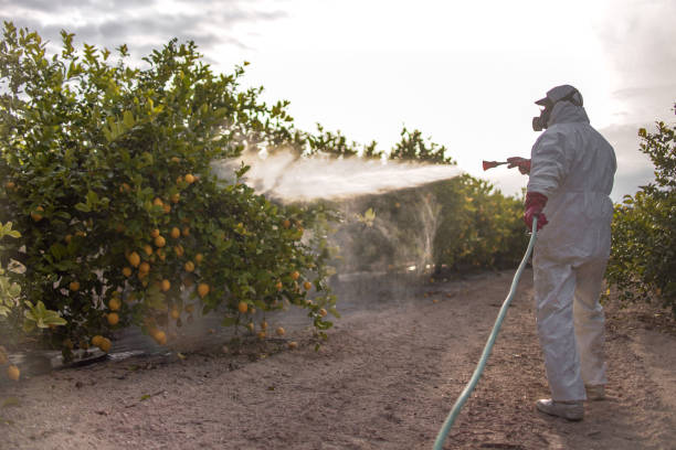 Best Wildlife Control Services  in Edgewood, IN