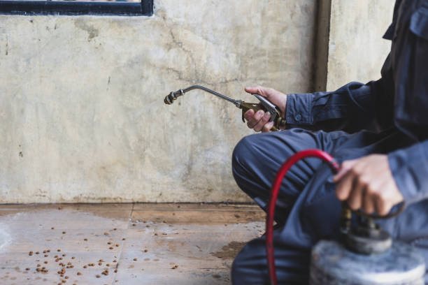 Best Best Pest Control Companies  in Edgewood, IN